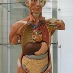 GVSU Master's Program is a First for West Michigan